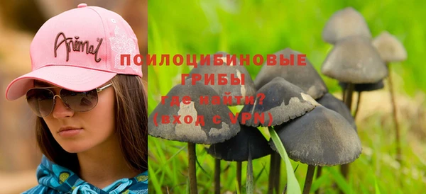 спайс Вяземский