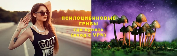 спайс Вяземский