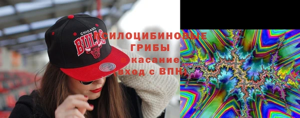 спайс Вяземский