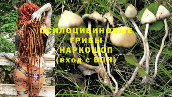 jwh Вязьма