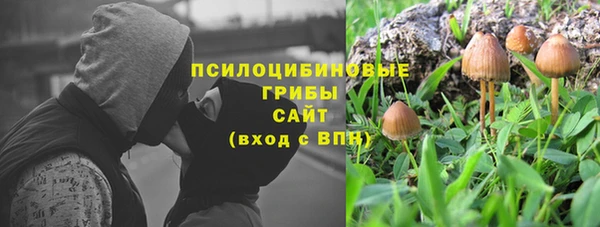 спайс Вяземский